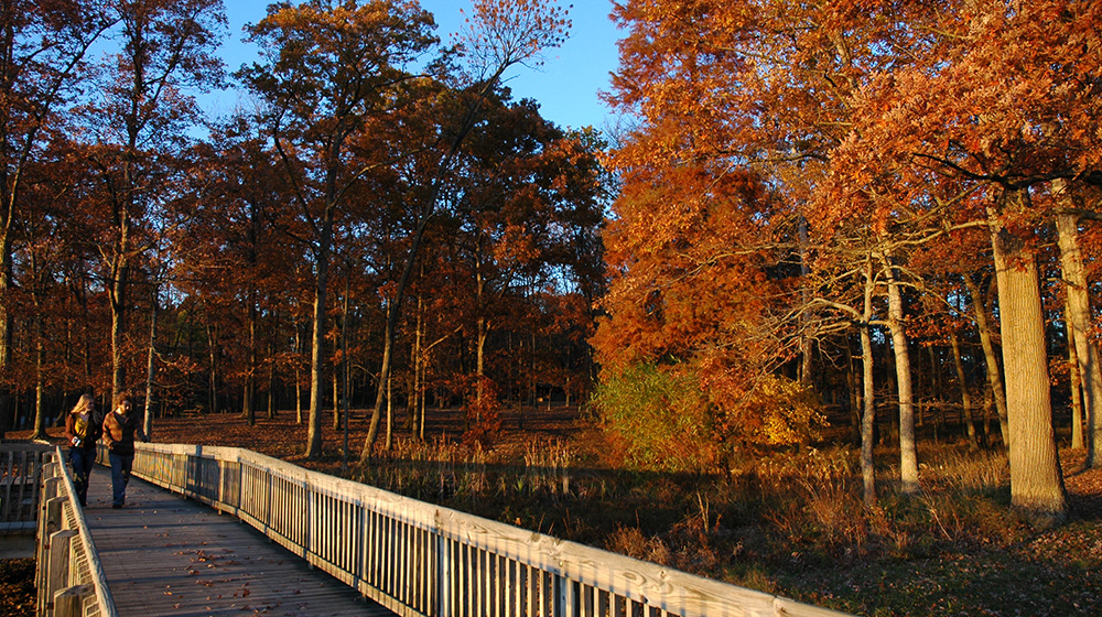 Lincoln State Park