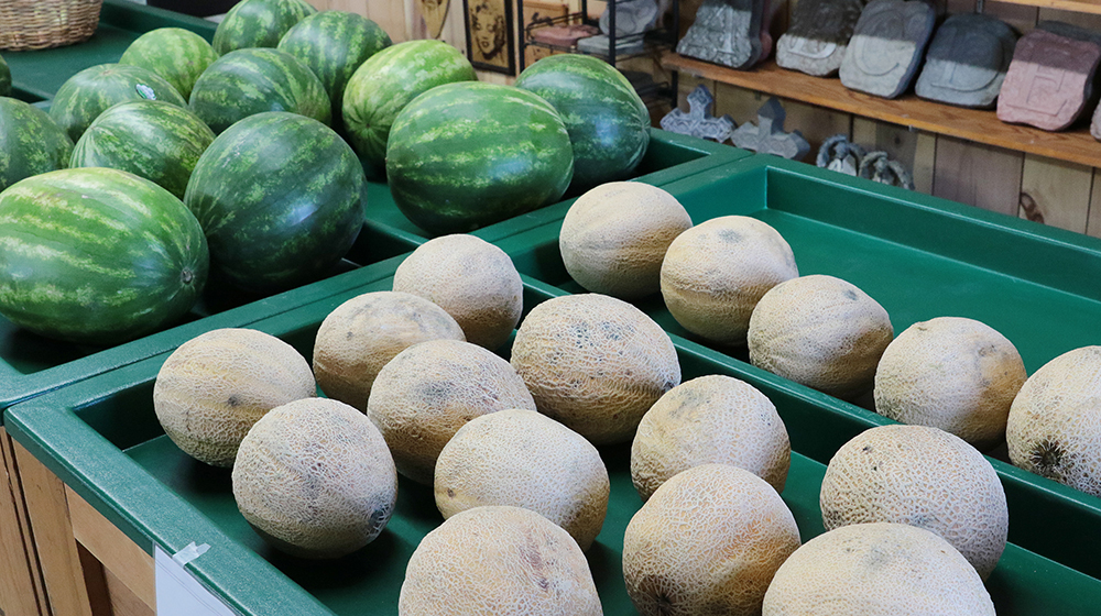 Pumpkins and More Farm Market