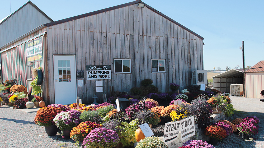 Pumpkins and More Farm Market