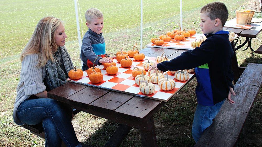 Pumpkins and More Farm Market