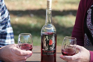 Wine and glasses from Pepper's Ridge Winery
